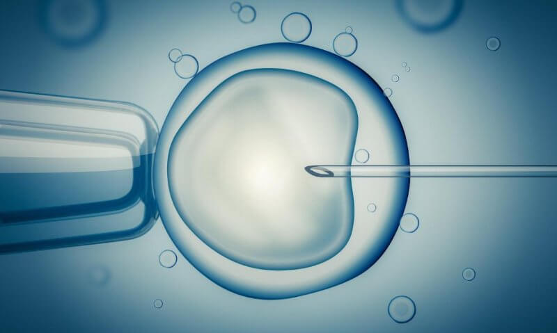 IVF in vitro fertilisation